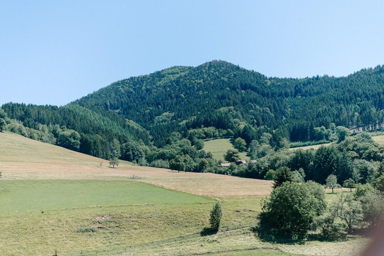 Moderne 2 Zi.Fewo Blackforest Art Naehe Freiburg Зімонсвальд Екстер'єр фото